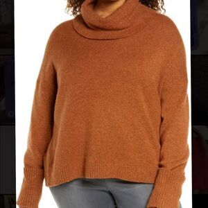 Burnt Orange Knit Turtleneck